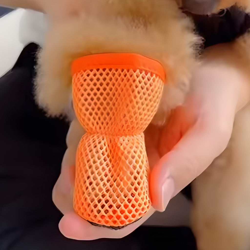 Premium Hundeschuhe aus atmungsaktivem Mesh – Schutz trifft Stil